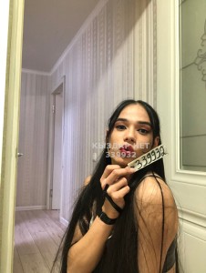 Транс Караганды Транс№339932 Царица впервые в городе Фотография №2654504