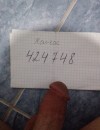 Фотография №3303393