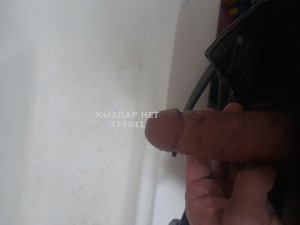 Жиголо Караганды Парень№479941 Ali Фотография №3625459