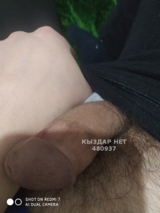 Жиголо Алматы Парень№480937 Marlen Фотография №3633786