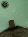 Фотография №3837320
