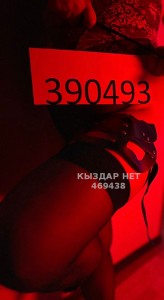 Проститутка Усть-Каменогорска Девушка№469438 Госпожа Фотография №3855209
