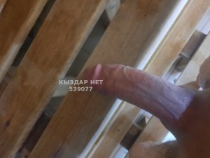 Жиголо Астаны Парень№539077 Rafael Фотография №4036226