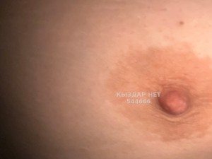Проститутка Алматы Девушка№544666 Алсу Фотография №4085828