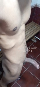 Жиголо Актобе Парень№543111 Тимур Фотография №4144900