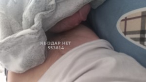 Жиголо Балхаша Парень№553814 Большои член Фотография №4176061