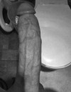 Фотография №4200982