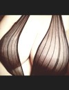 Фотография №4243425