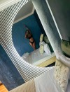 Фотография №4268958